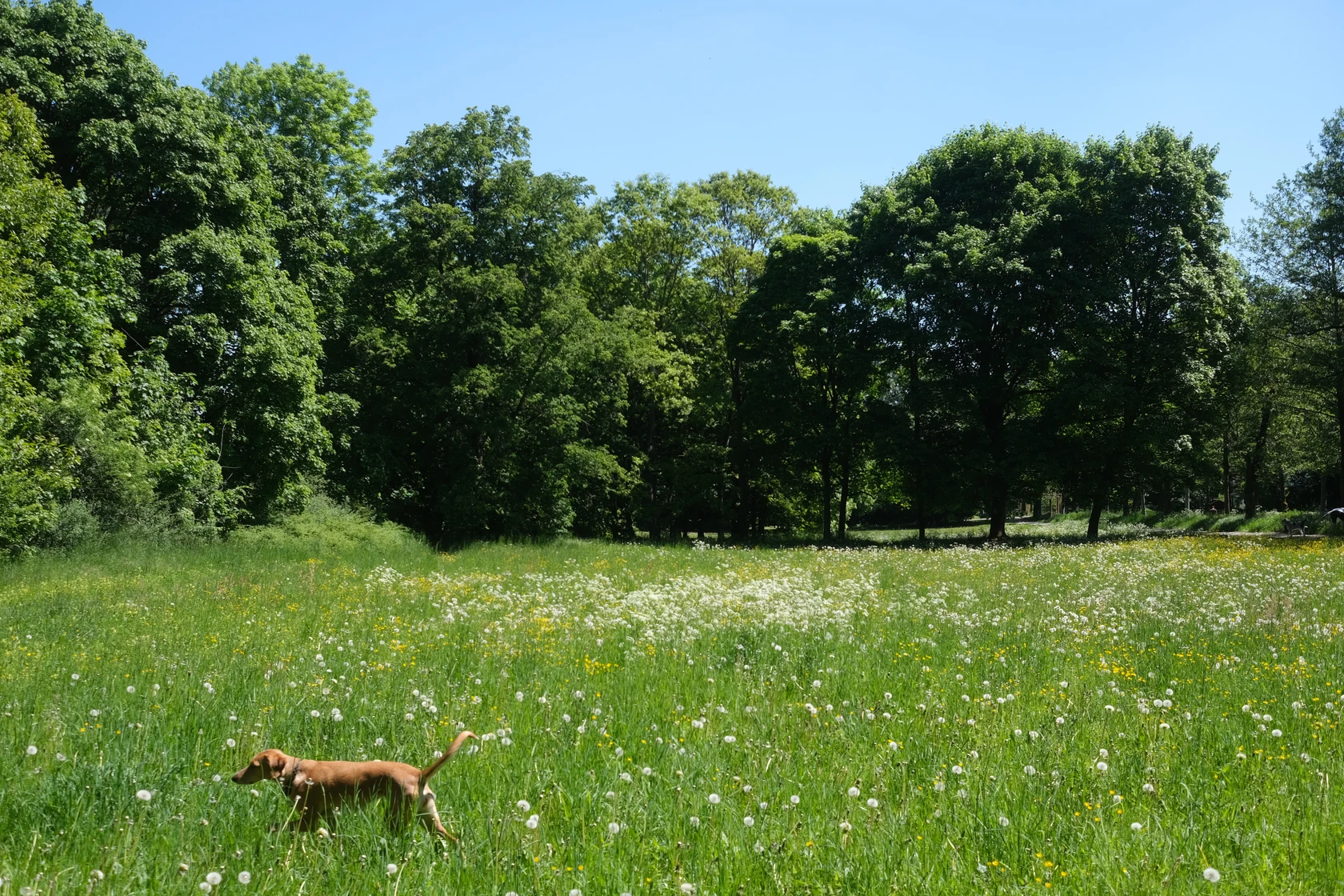 2025-05-12_18-17-03_DSCF0689