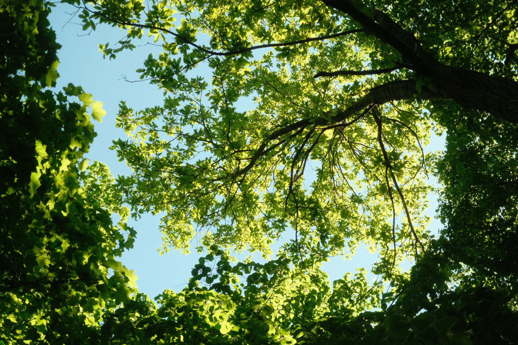 2025-05-12_18-23-14_DSCF0707