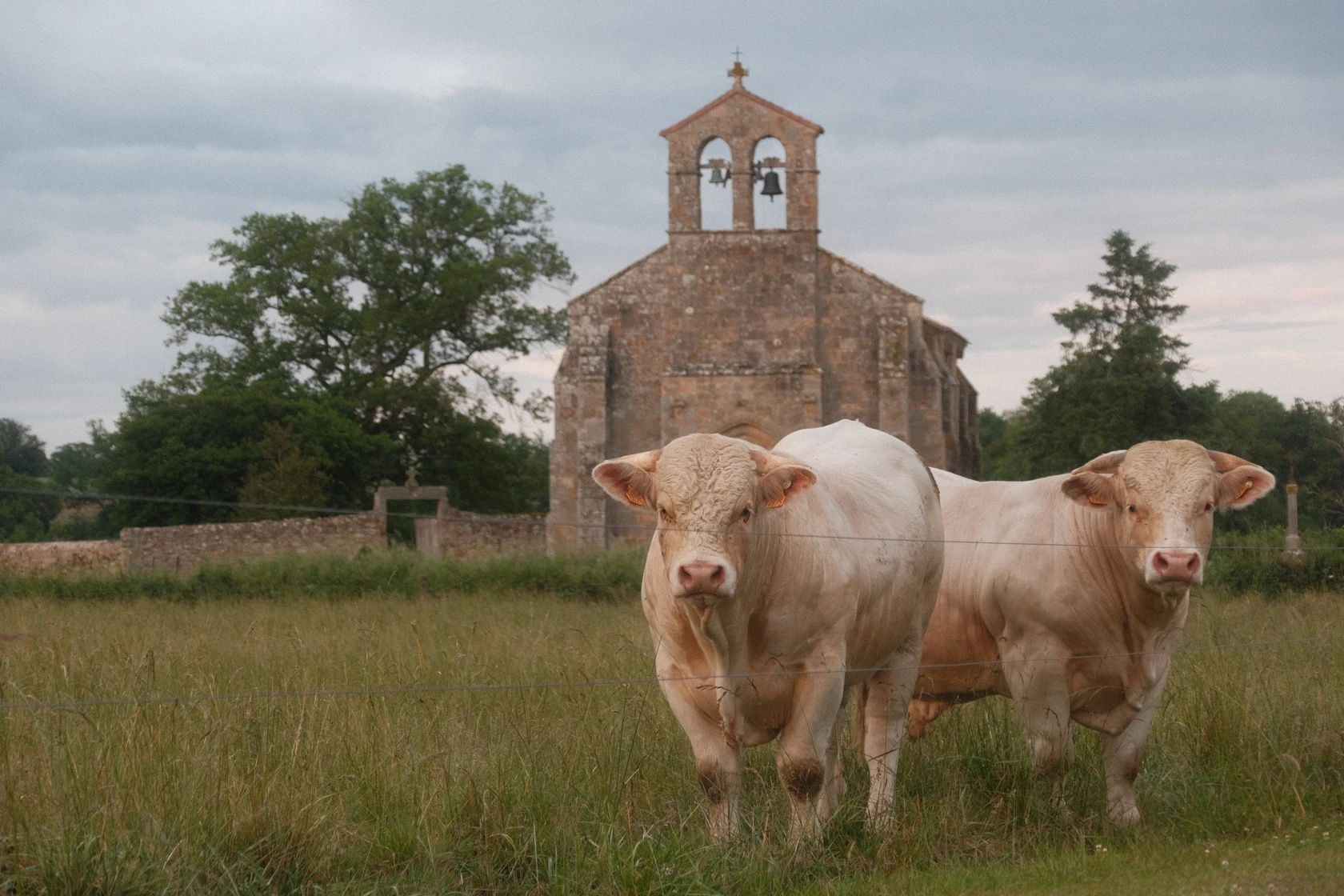 2025-06-06_21-02-26_DSCF1166