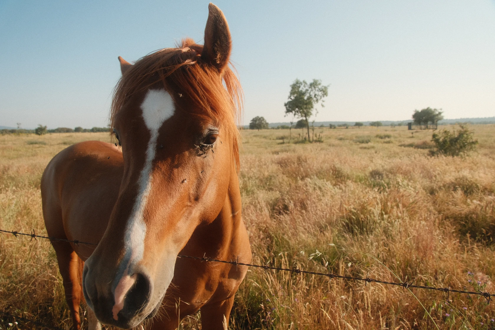 2025-06-08_20-01-58_DSCF1414