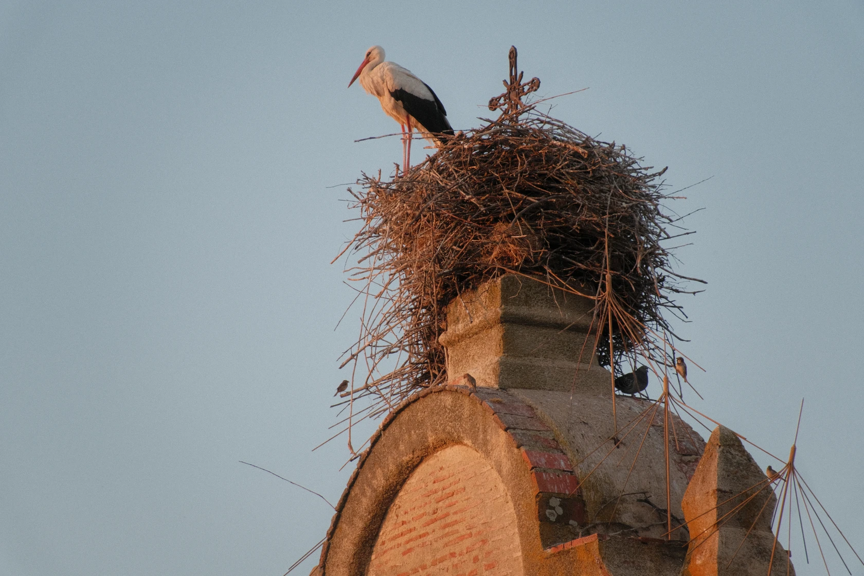 2025-06-08_21-34-32_DSCF1440