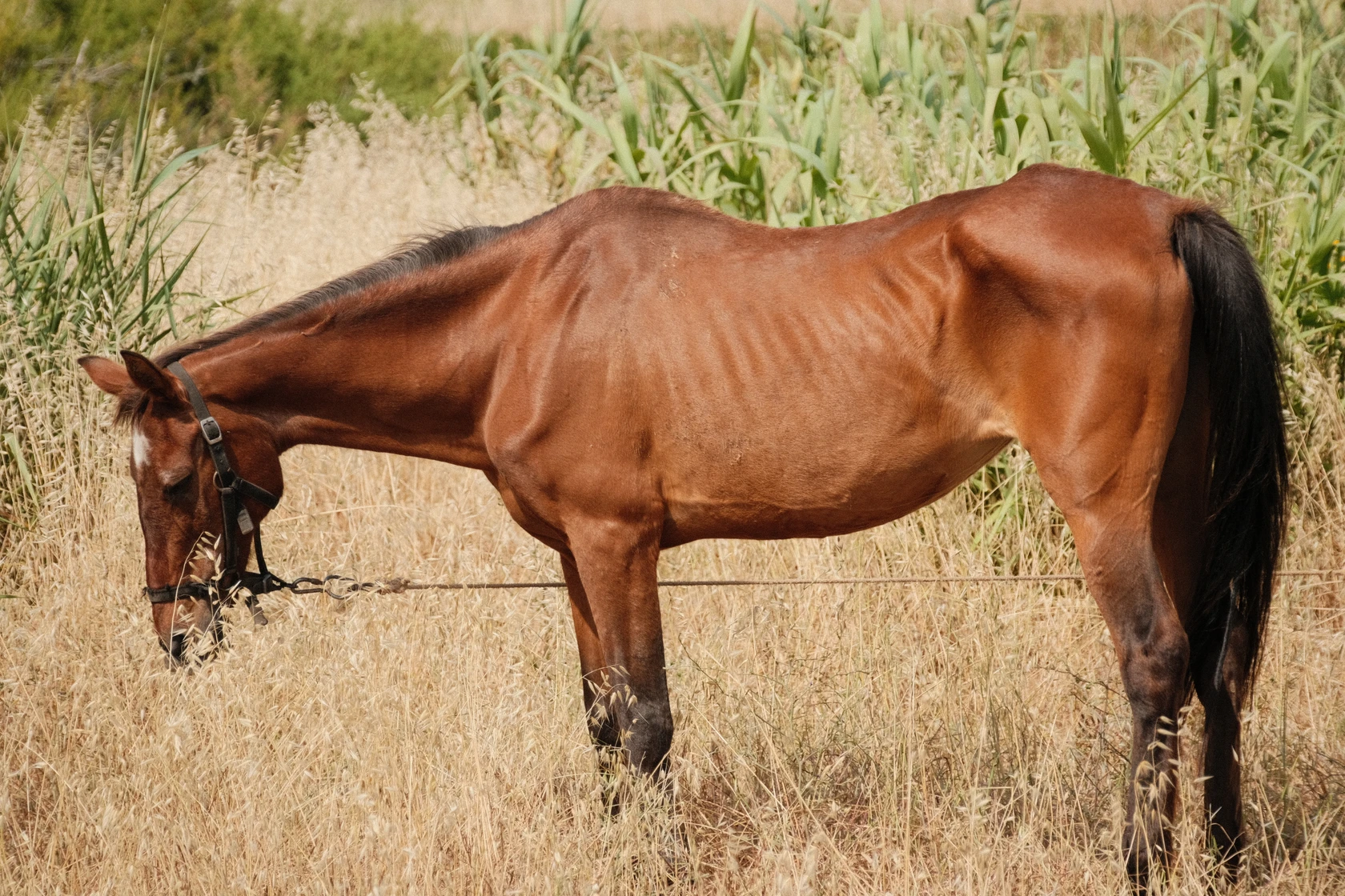 2025-06-09_17-19-44_DSCF2033