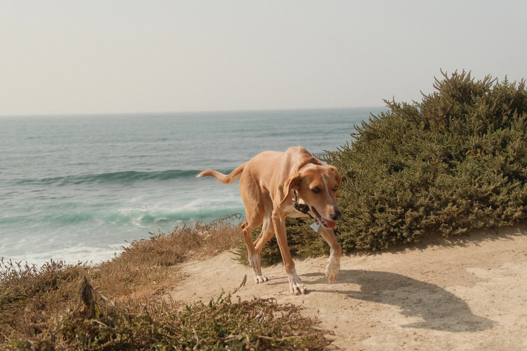 2025-06-09_18-25-00_DSCF2064