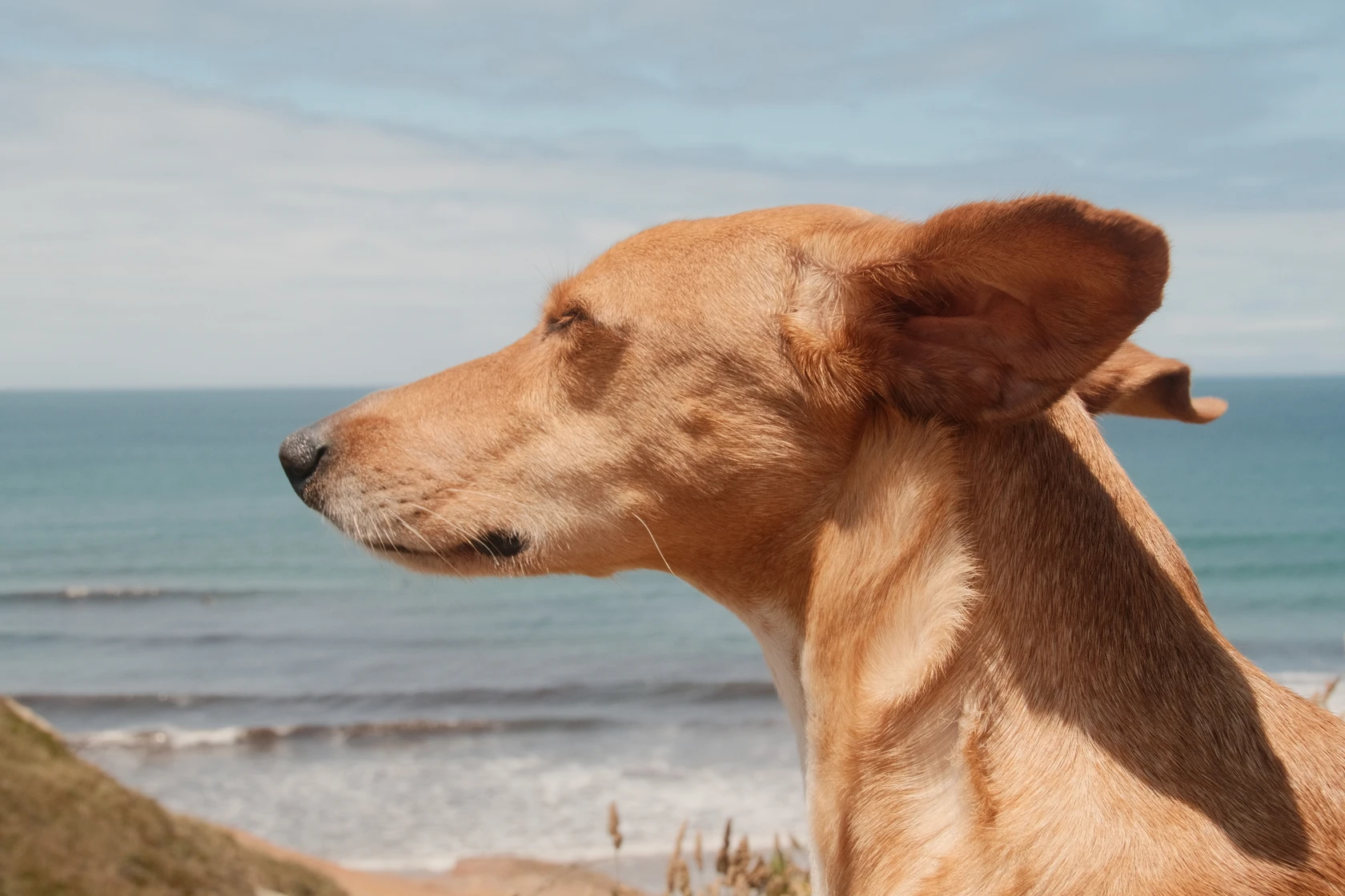 2025-06-12_14-08-49_DSCF2217