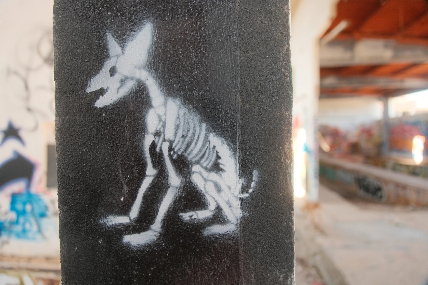 2025-06-12_15-54-08_DSCF2306