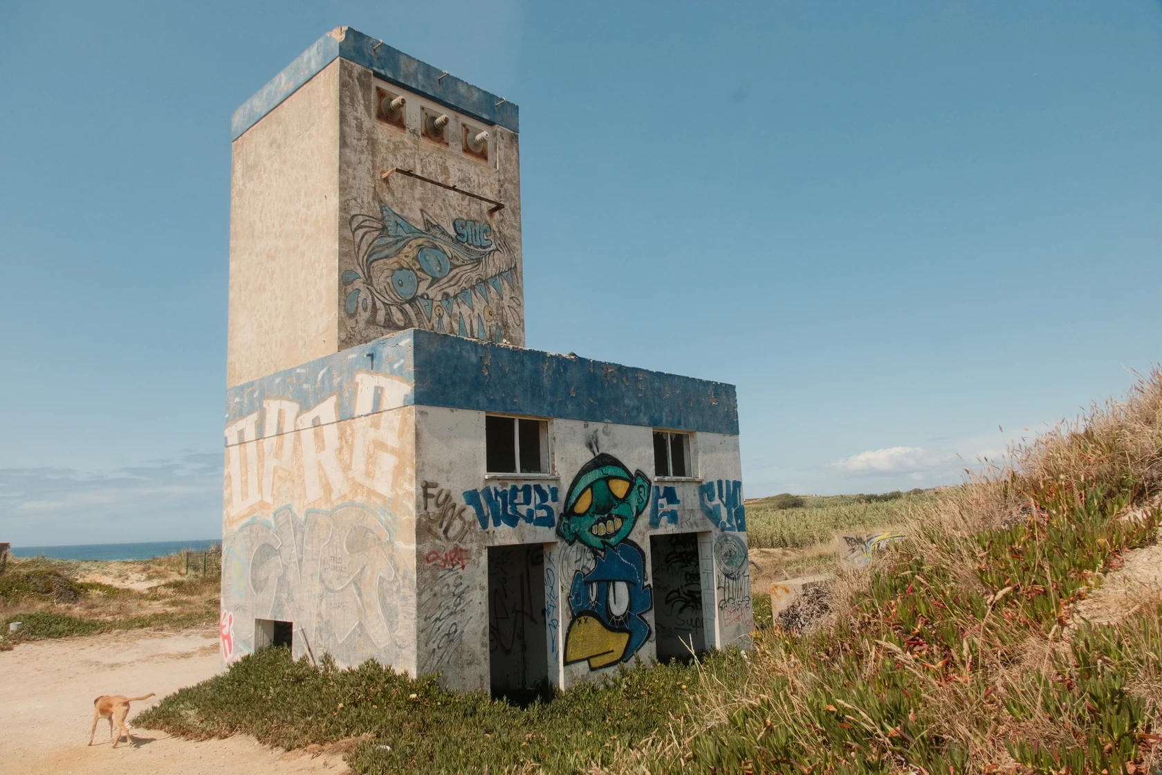 2025-06-12_15-57-42_DSCF2316