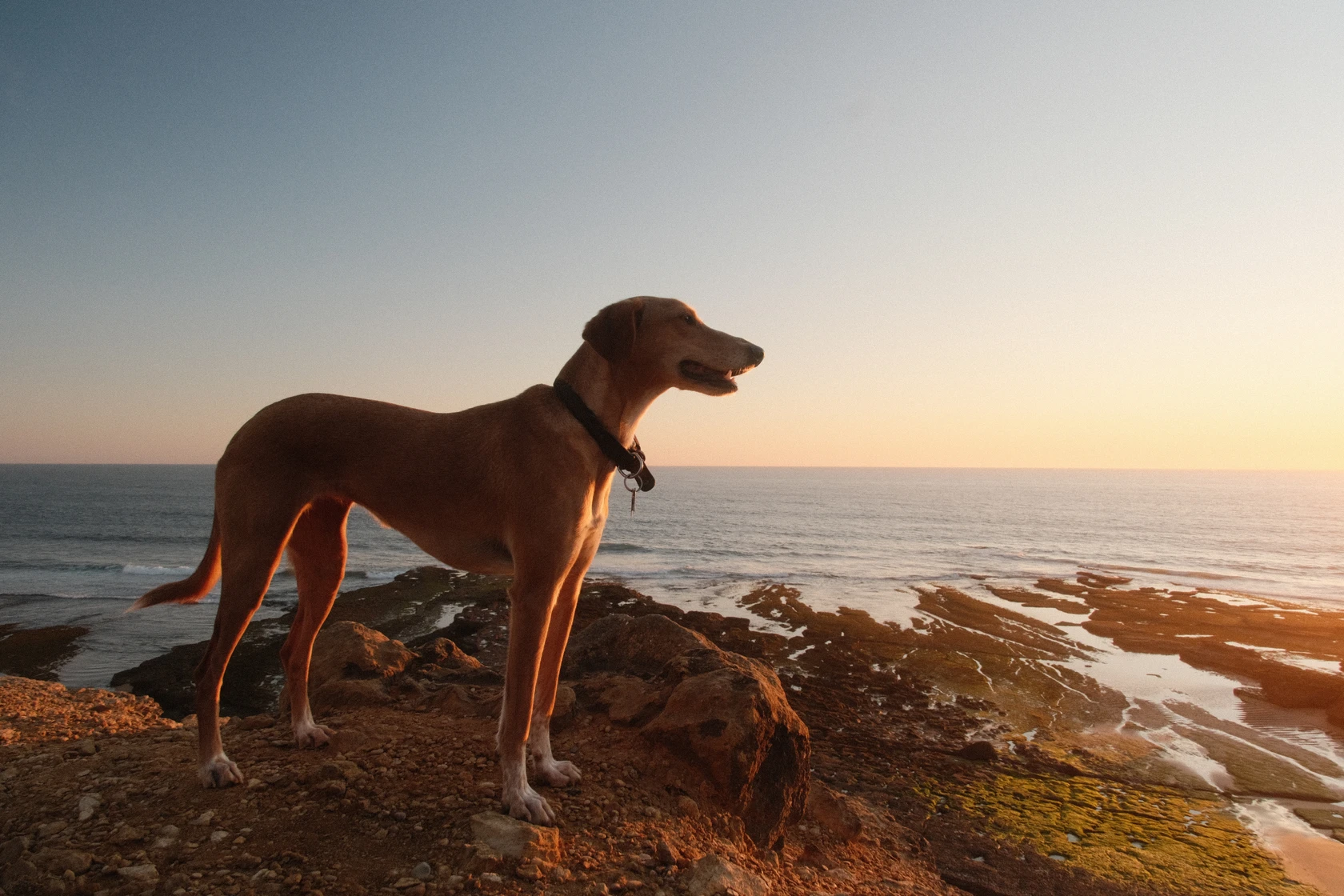 2025-06-26_20-55-10_DSCF2625