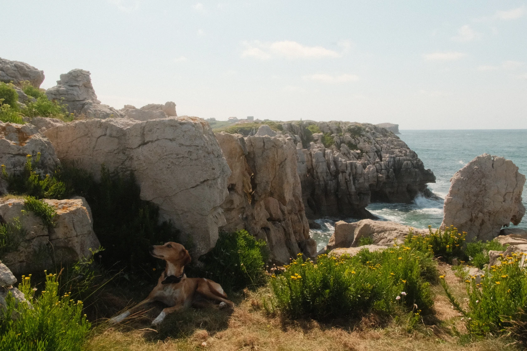 2025-07-05_16-53-10_DSCF2940