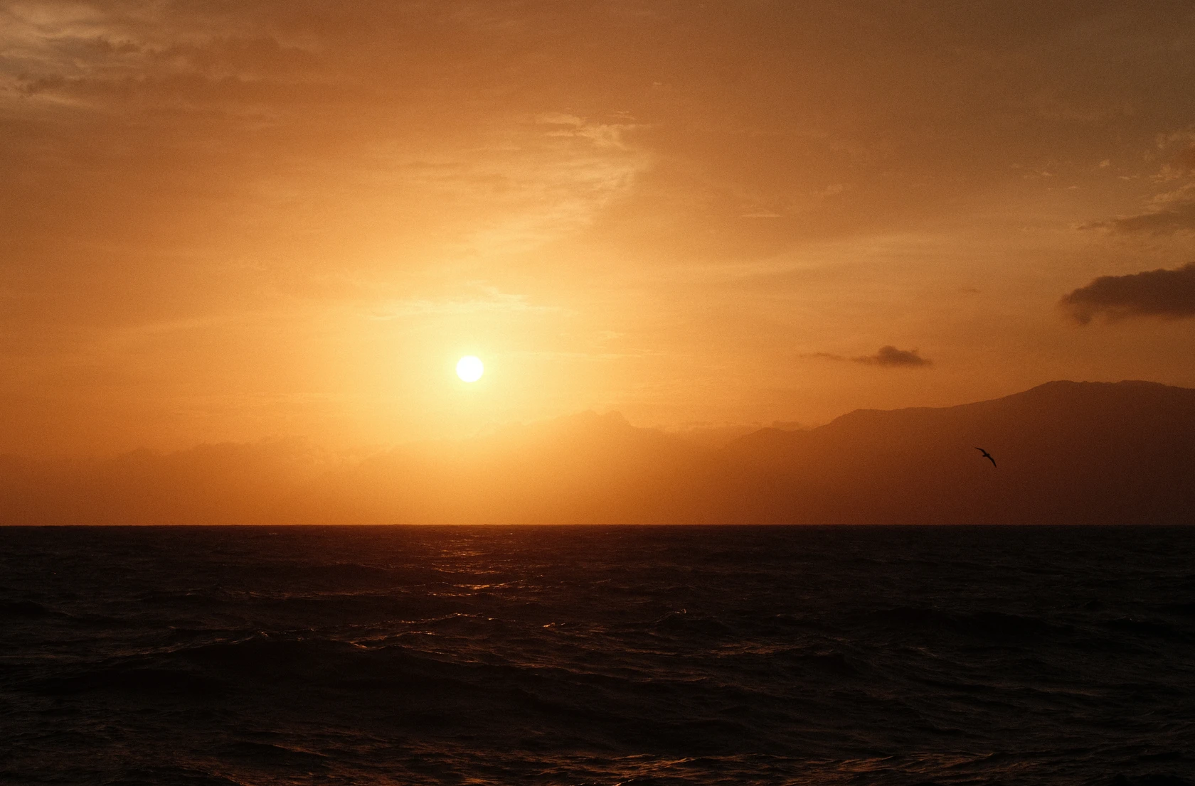 2025-07-24_07-04-16_DSCF4024