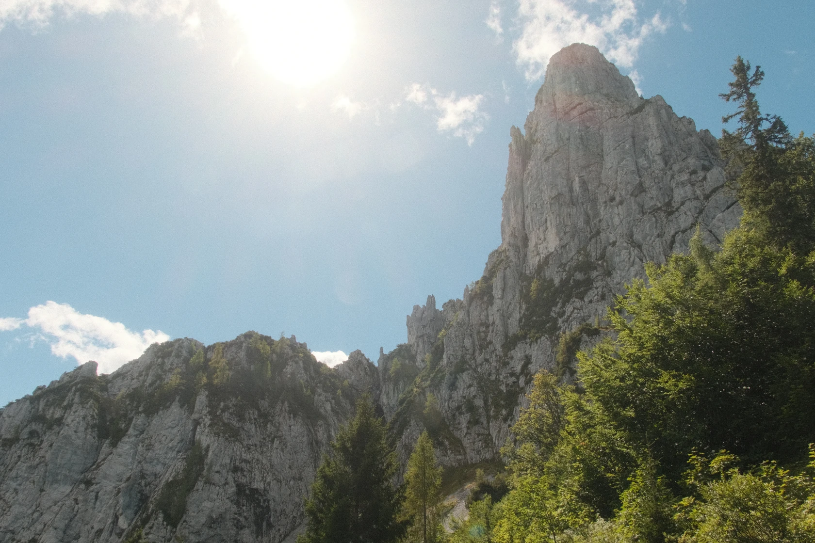 2025-08-31_11-53-18_DSCF4418