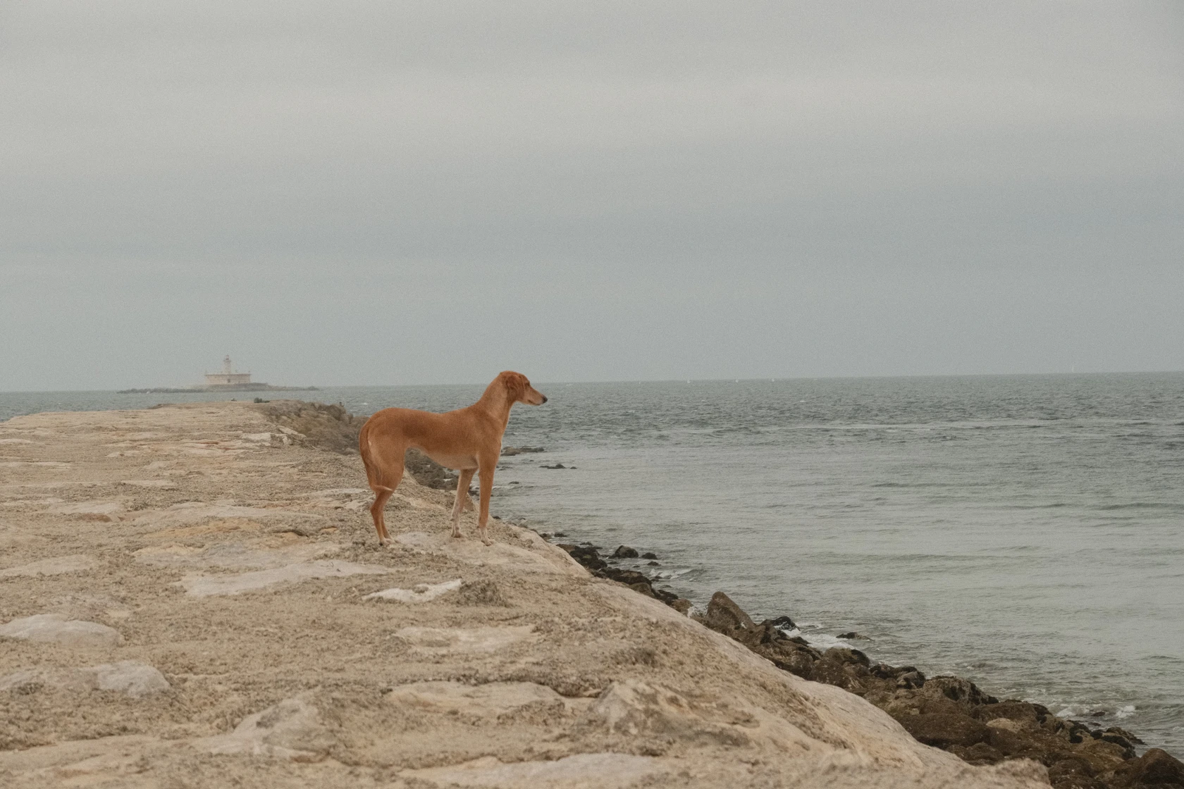 2025-09-27_12-53-14_DSCF4979