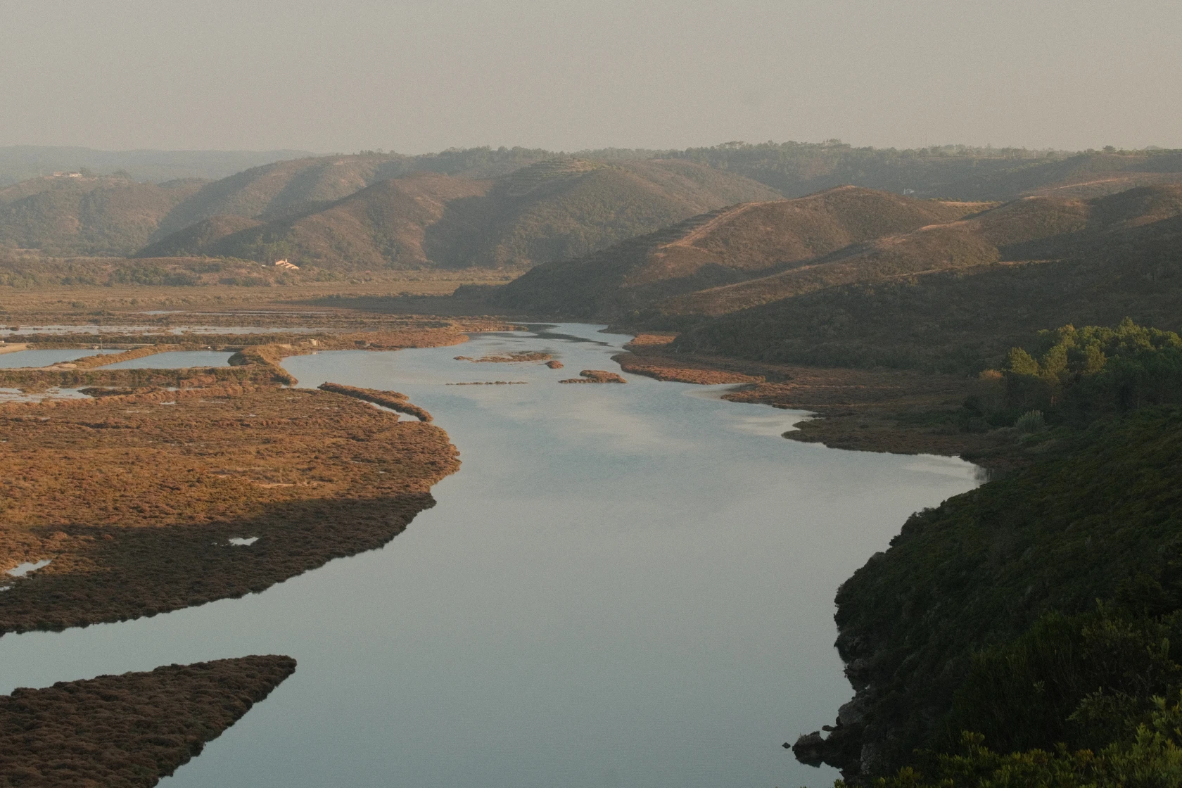 2025-10-10_18-03-03_DSCF5726