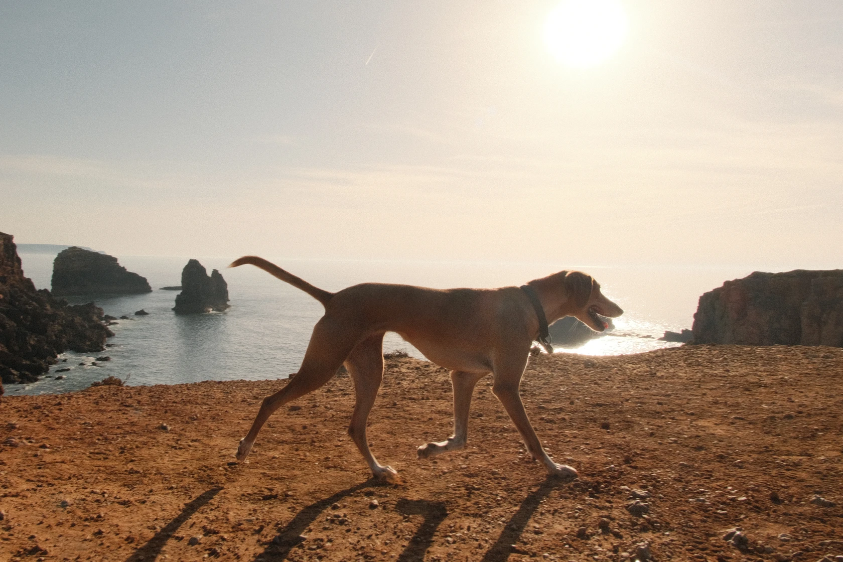 2025-10-14_17-17-49_DSCF5864