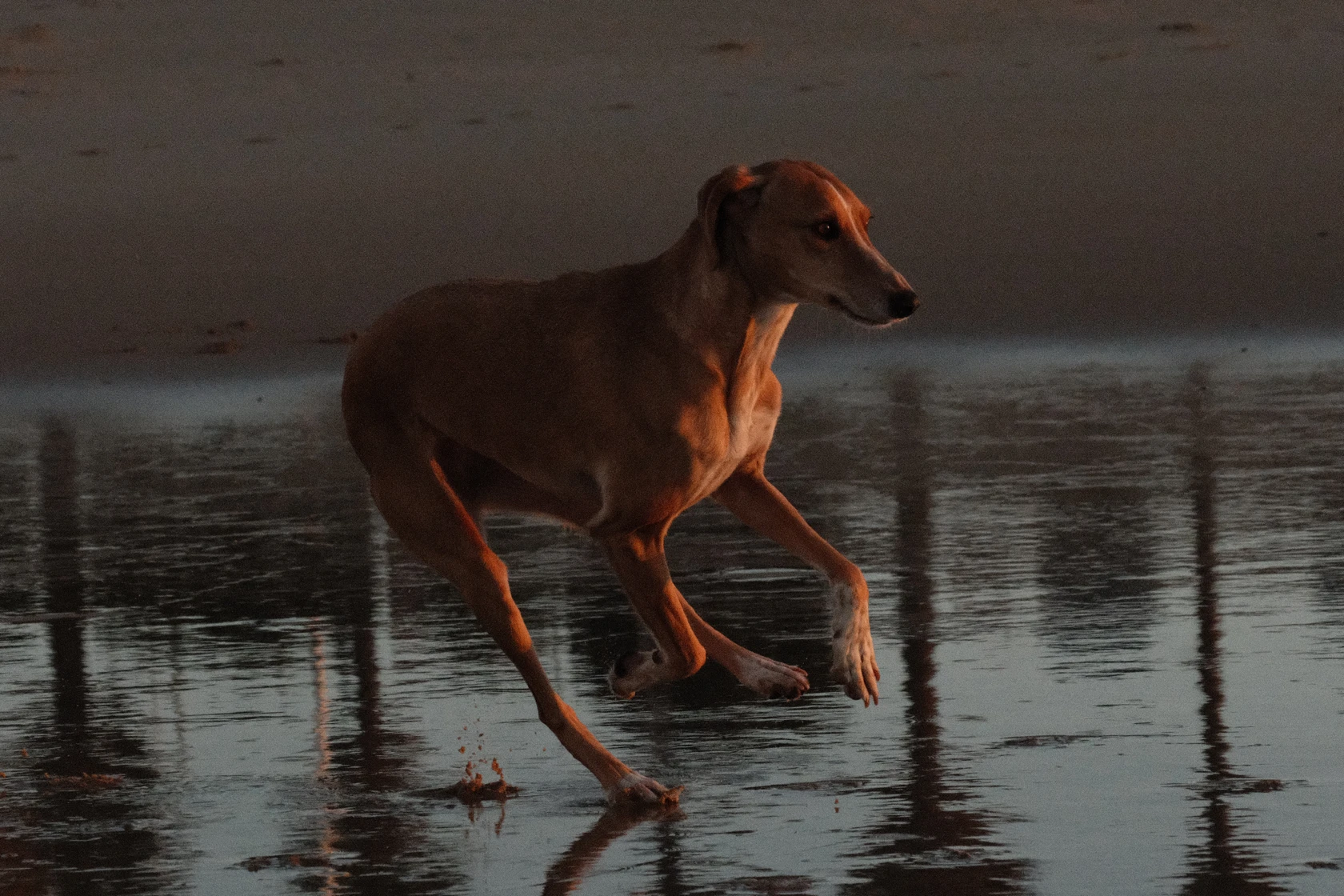 2025-11-03_08-17-32_DSCF6237