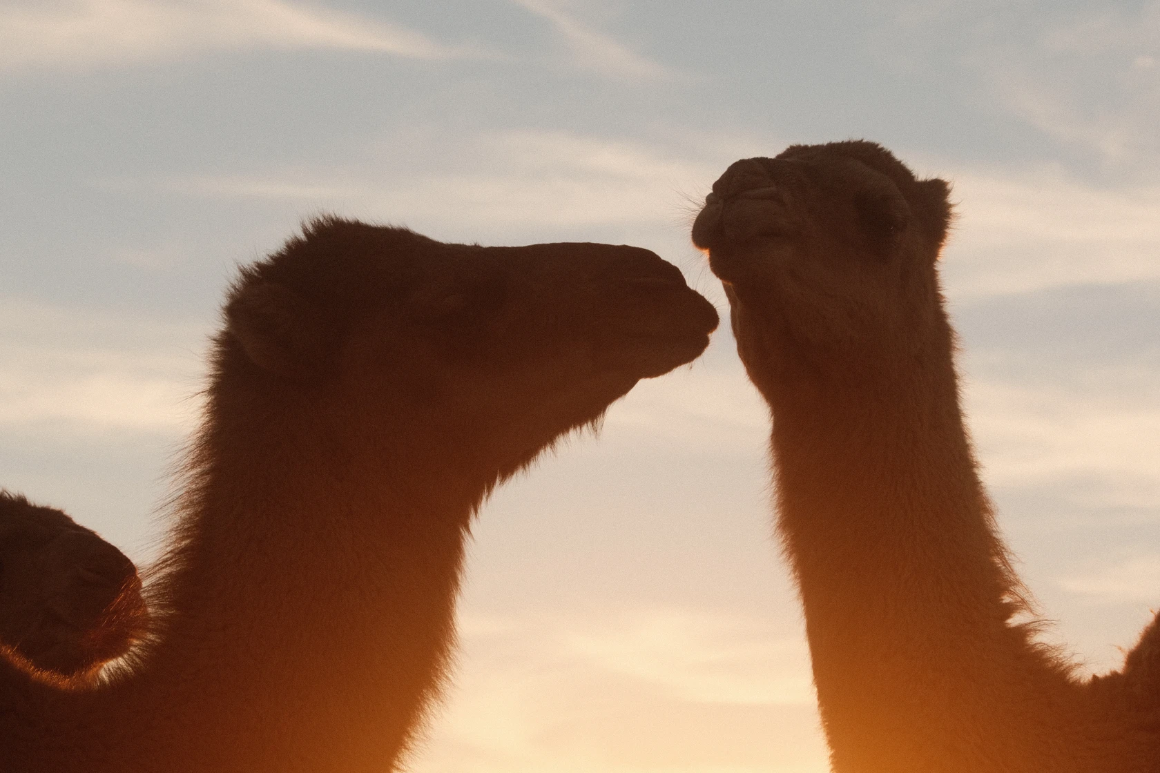 2025-11-22_18-01-09_DSCF7030