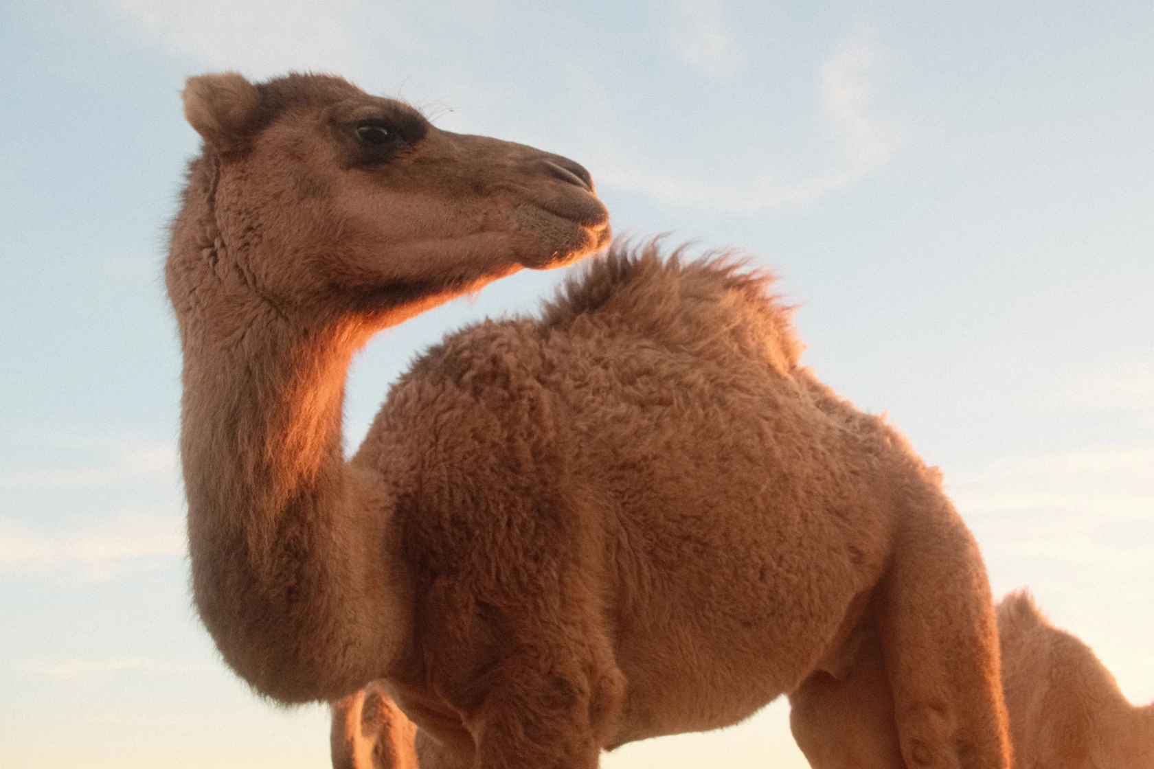 2025-11-22_18-03-38_DSCF7058