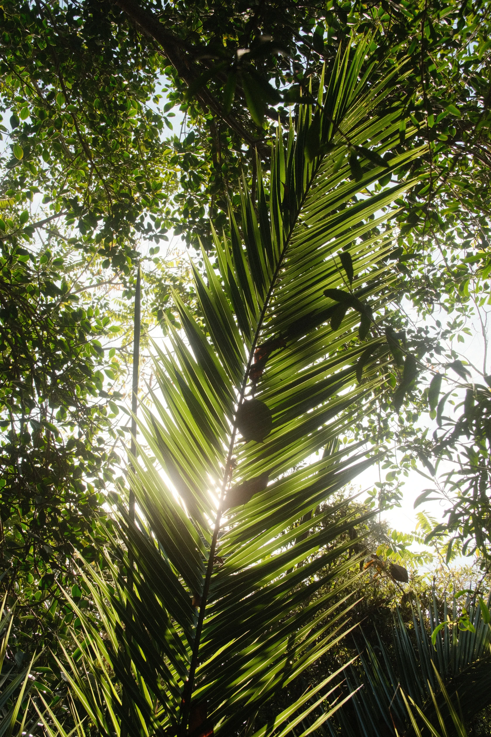 2025-11-23_10-44-54_DSCF7177