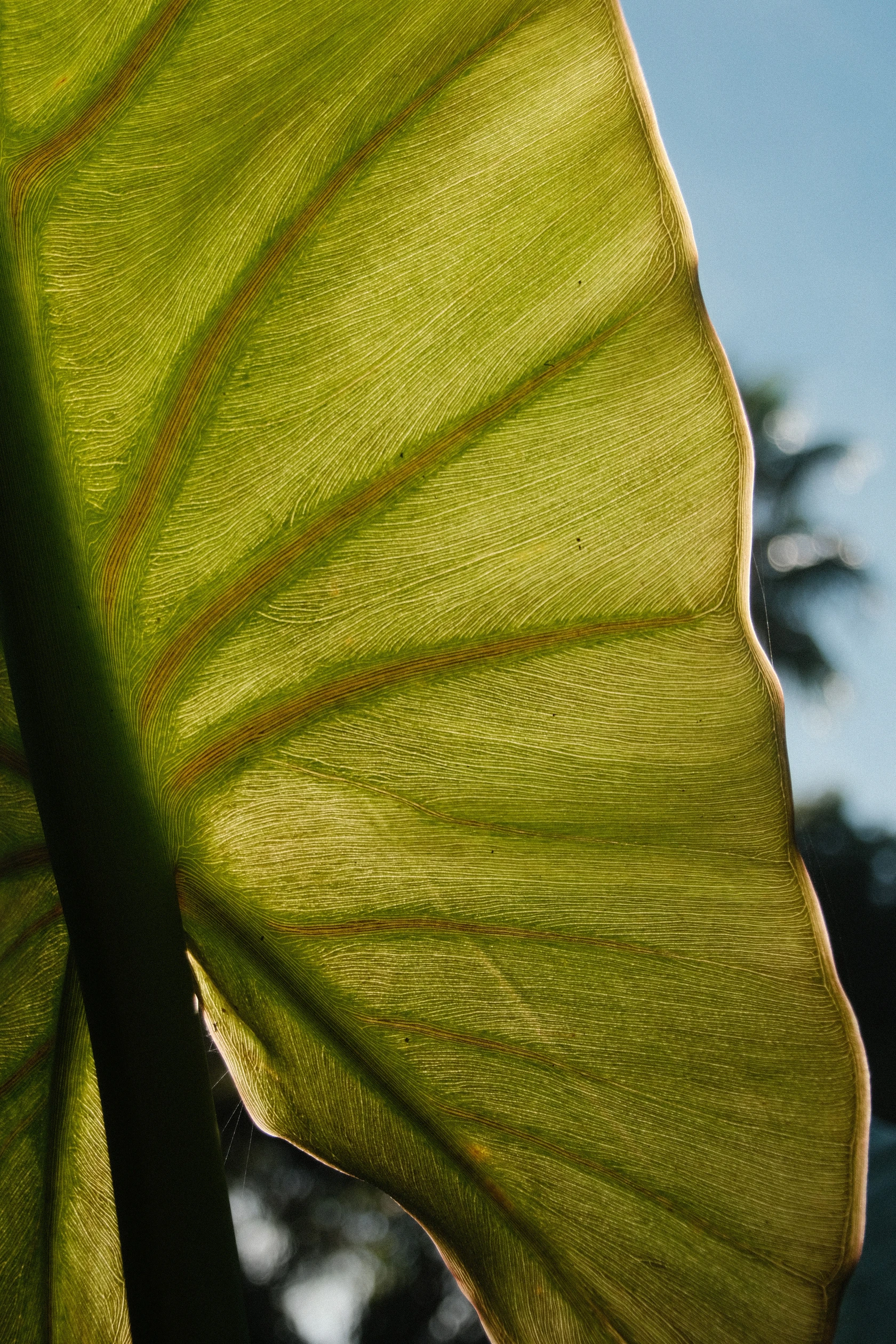 2025-11-23_11-16-07_DSCF7271