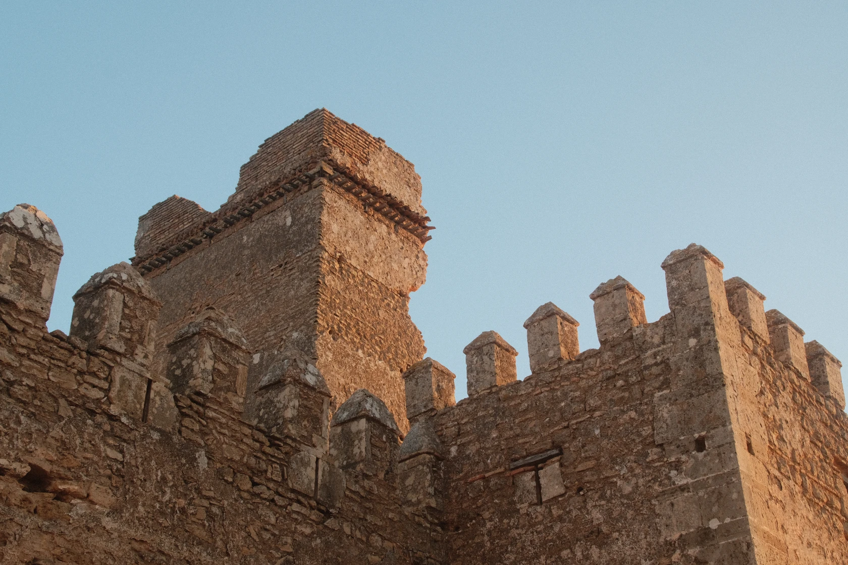 2025-11-24_08-34-23_DSCF7394