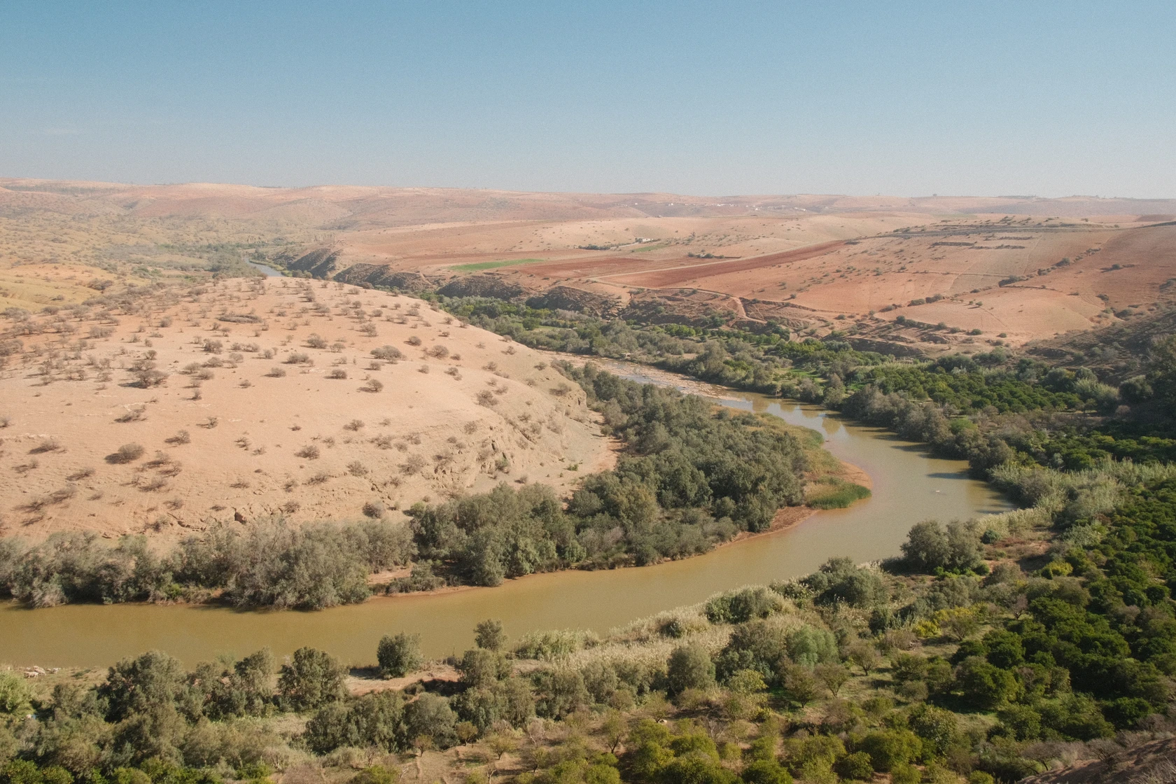 2025-11-24_14-25-25_DSCF7491