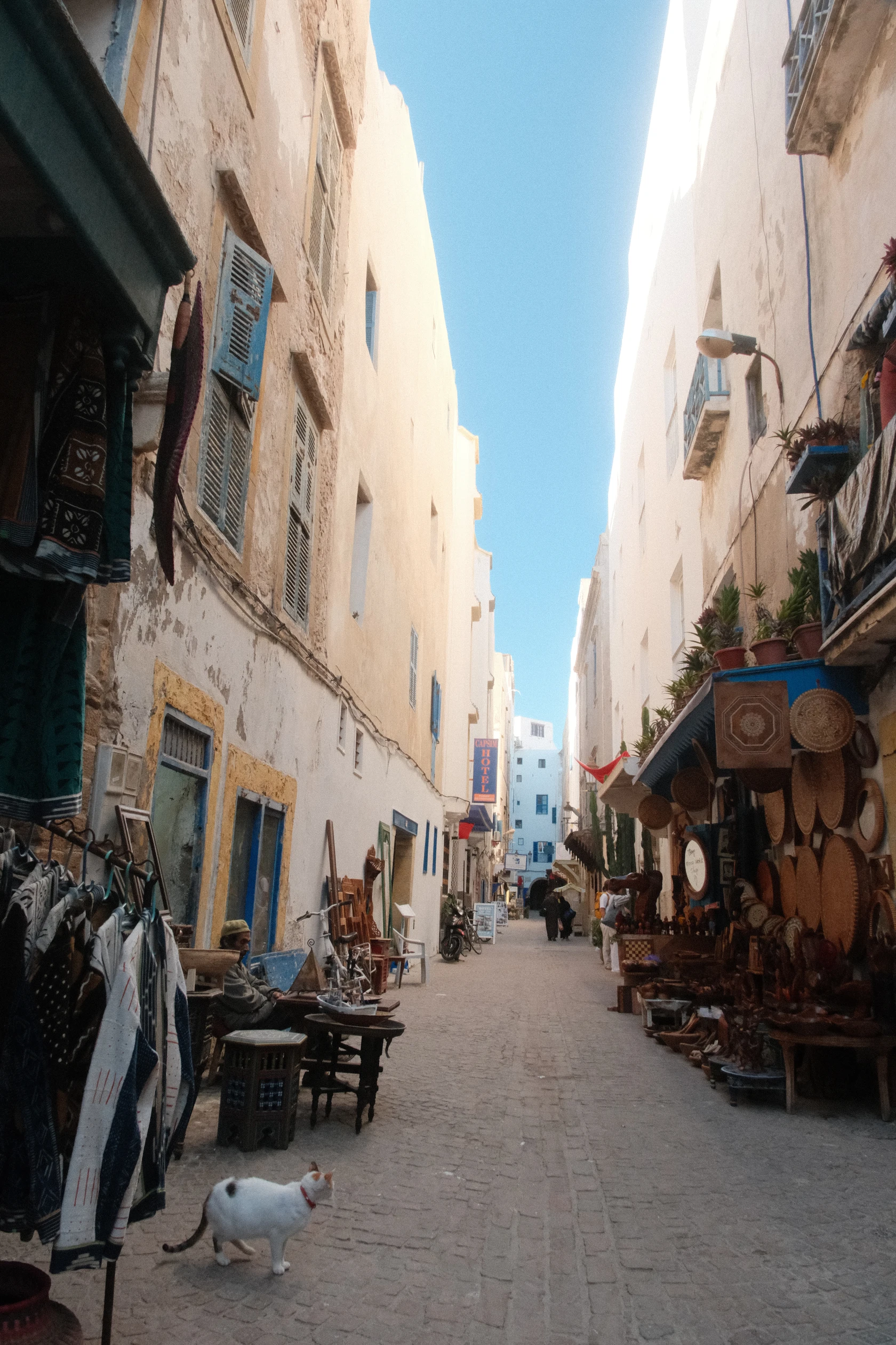 2025-11-25_17-01-51_DSCF7499