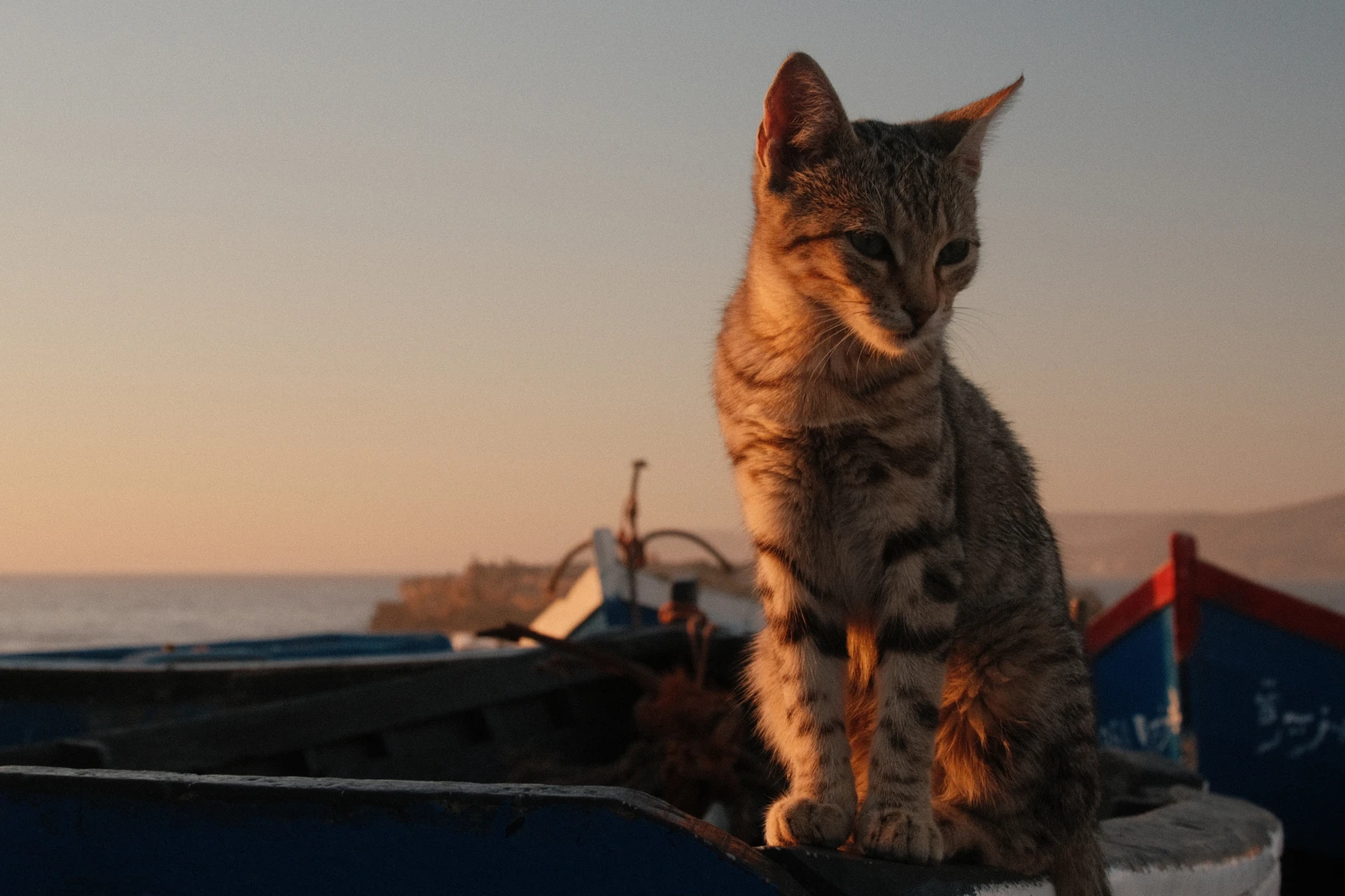 2025-12-05_18-25-51_DSCF8025