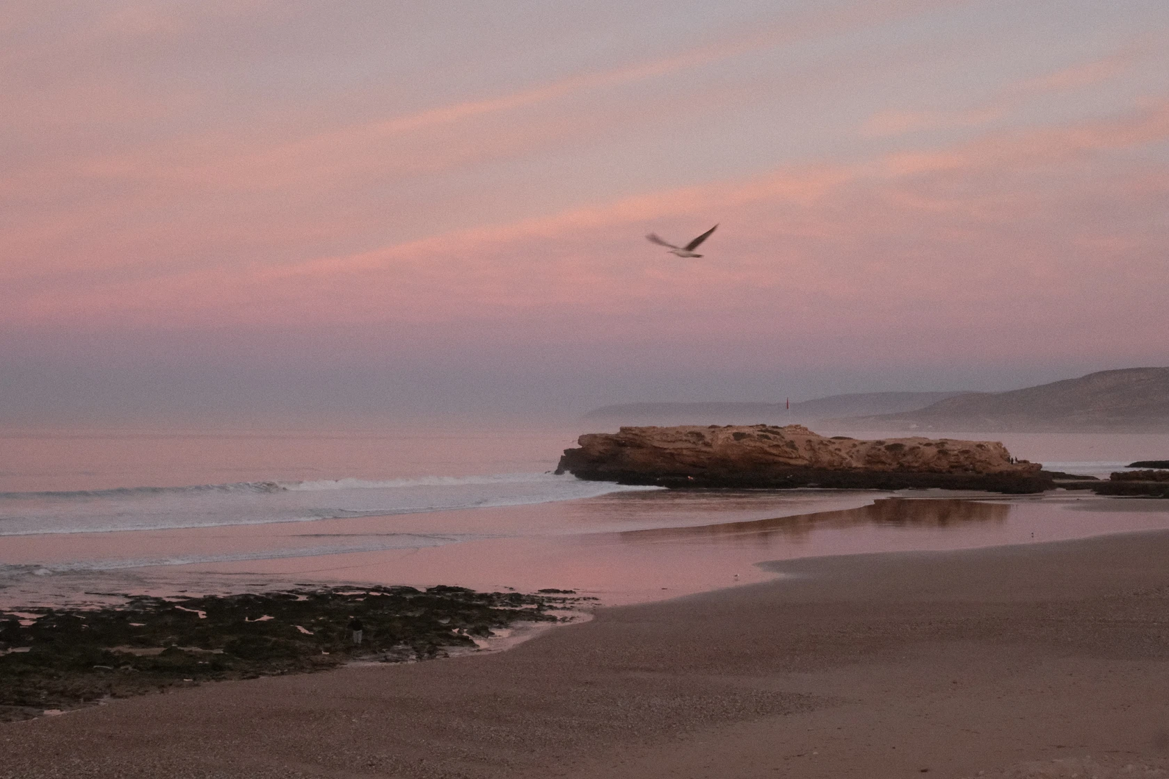 2025-12-06_08-19-51_DSCF8062