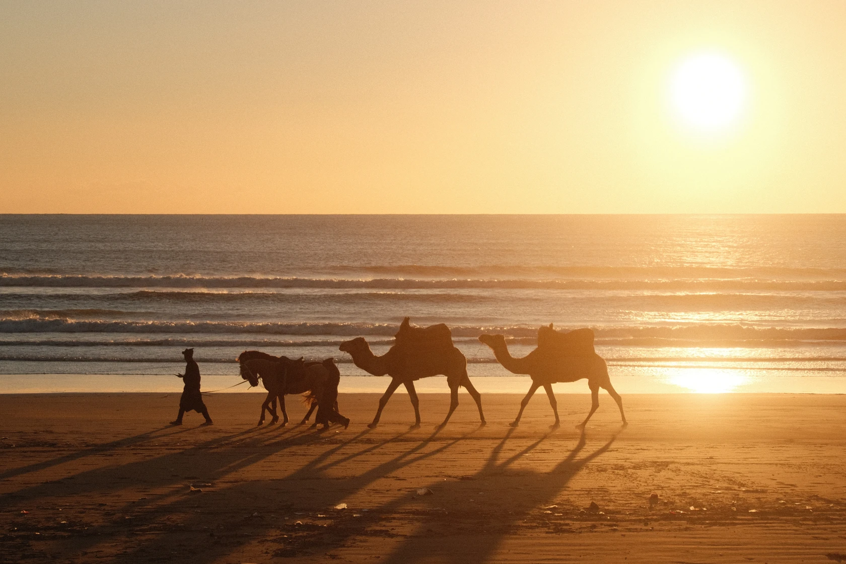 2026-01-06_18-34-32_DSCF8532