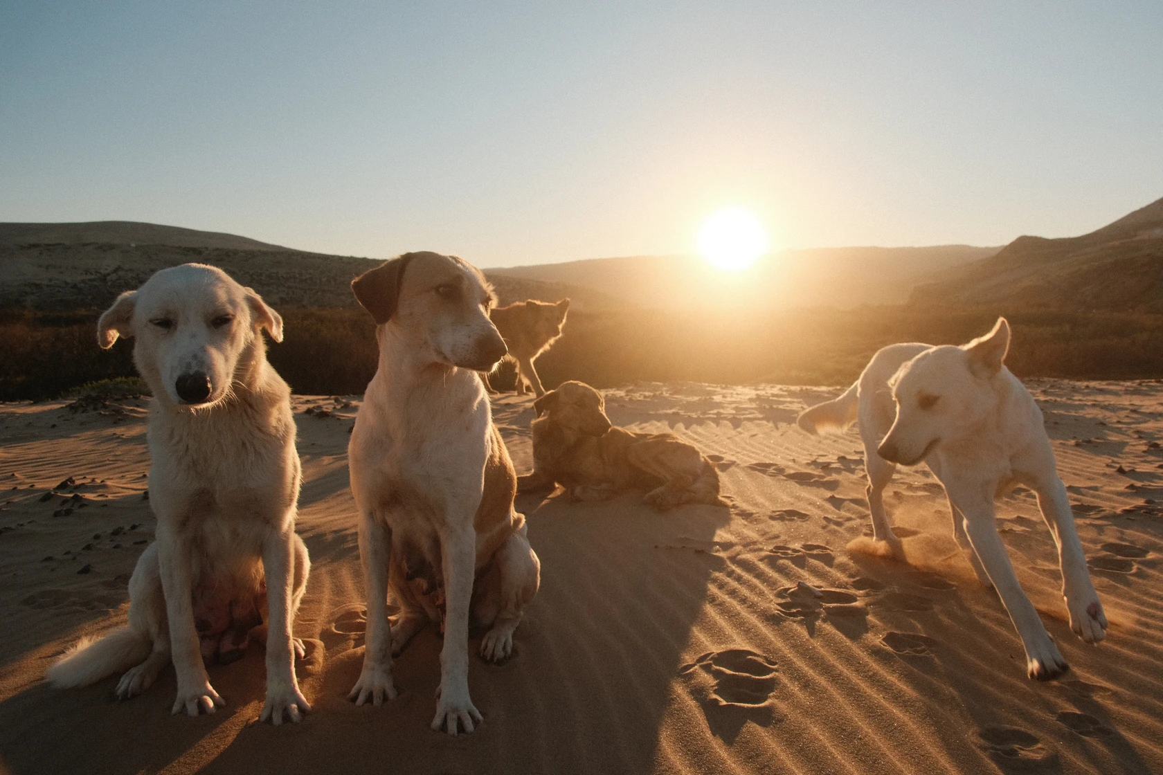 2026-01-07_09-08-18_DSCF8638