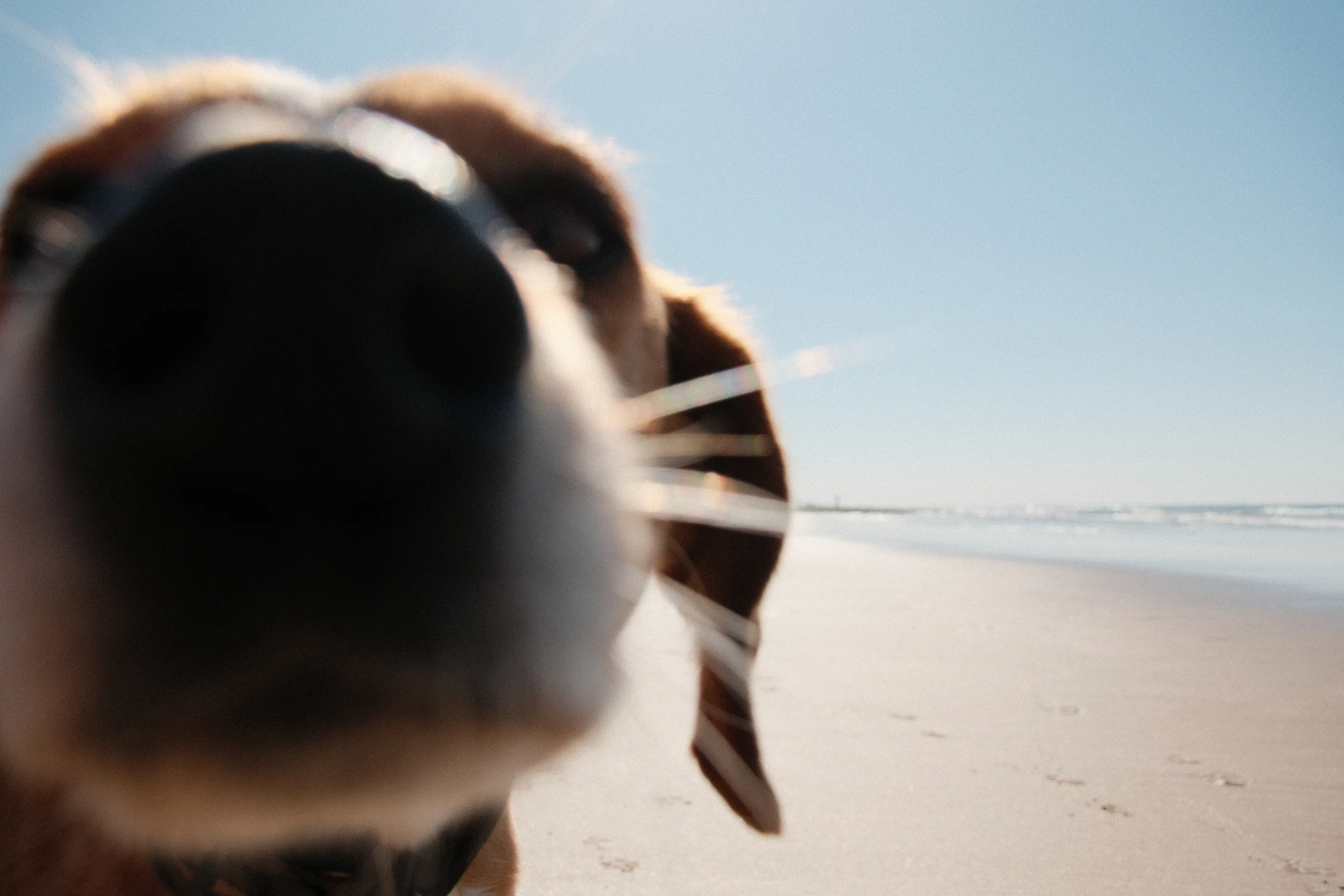 2026-01-10_12-03-38_DSCF8814