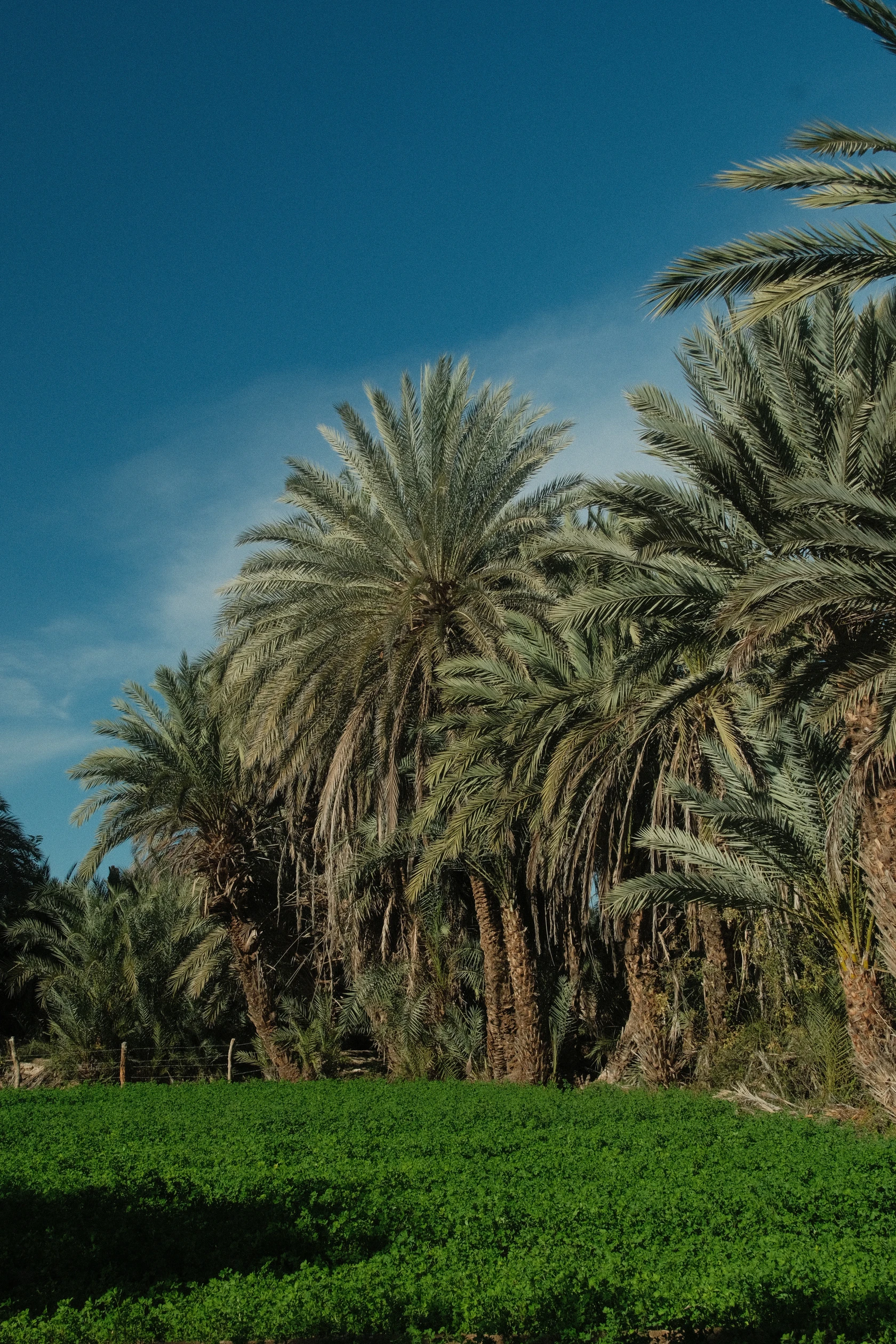 2026-01-17_11-53-37_DSCF9095