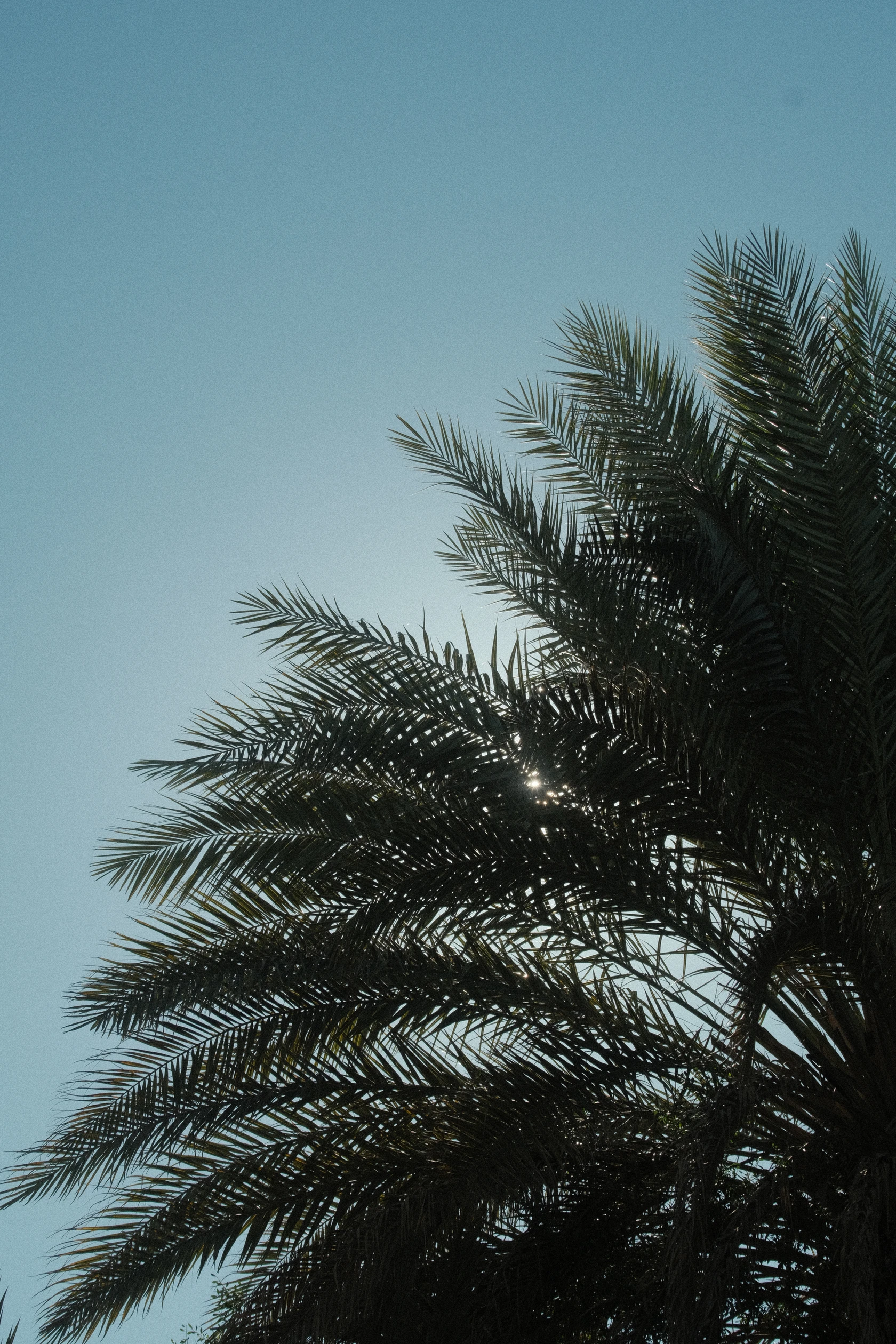 2026-01-17_11-55-29_DSCF9106