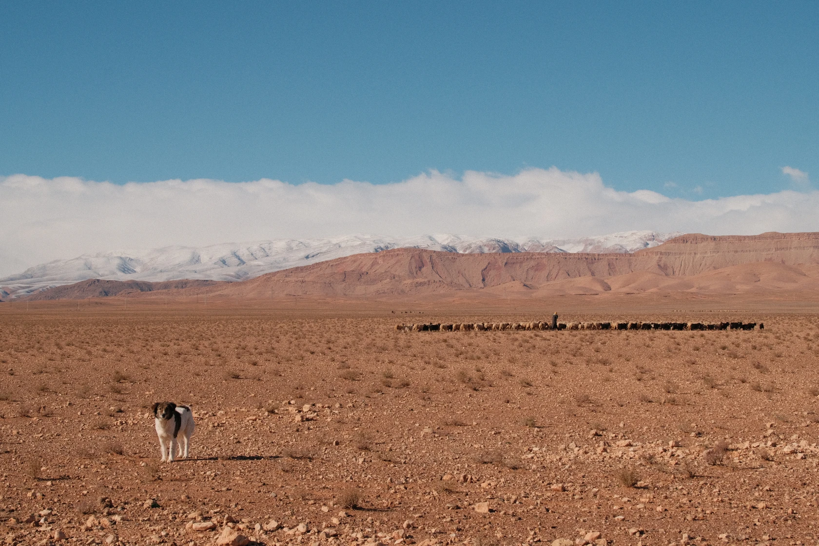 2026-01-19_16-02-56_DSCF9390