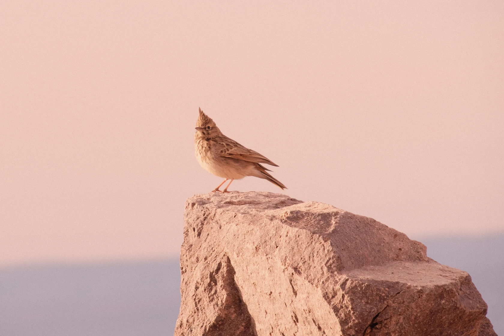 2026-01-22_09-33-50_DSCF9558